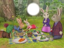 peters rabbit & family