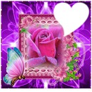 cadre violet avec rose
