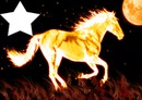 cheval en feu 1 photo