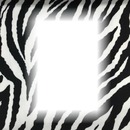 zebra frame