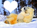 *Famille d'ours*