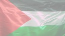 BaDi Palestine