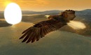 Old eagle-Qoca qartal