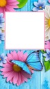 marco, flores y mariposa, fondo turquesa.