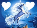 le cheval d amour