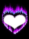 Coeur a feu violet