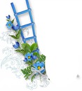 fleurs bleues