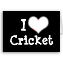 Cricket 2