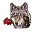 tete de loup avec rose