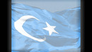 Türkistan Bayrağı