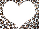 Amor por el leopardo