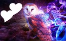 <3 owl