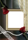 Rose w/ gold frame