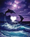 delfines enamorados