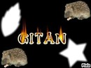 Gitan