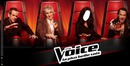 jury the voice