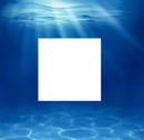 blue-rays-underwater-hdh-1