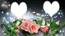 coeur roses