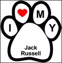 I love my Jack Russell