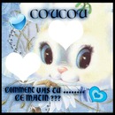 coucou