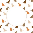marco circular gatitos.