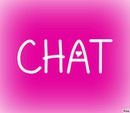 CADRE CHAT