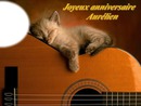 Chat Guitare