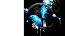 papillon bleu 1 photo