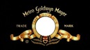 MGM Logo 5