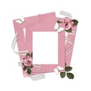 marco rosado, flores y mariposas.