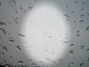 window rain Bill