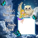 owl always love you