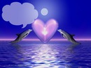 dauphin coeur