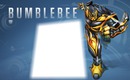 Bumblebee foco20