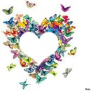 coeur de papillons