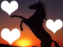 love cheval