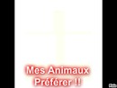 Mes Animaux Preferer