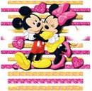 Mickey et minnie