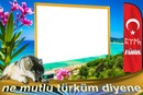bozkurt ülkücü türk bayrağı
