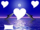 amour dauphin