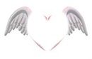 coeur + ailes d'anges