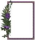 Purple Rose w/ frame