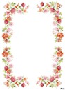 marco de floress