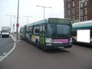 bus 103 gnv
