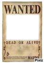 Wanted-One piece