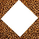 cadre 1 photo leopard