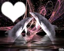 dauphins de coeur