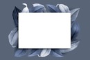 marco, fondo y hojas azules, 1 foto