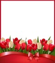 marco y tulipanes rojos.