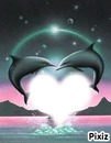 dauphin de coeur